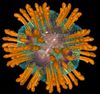 Hepatitis C virus