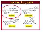 Silibin studija 2